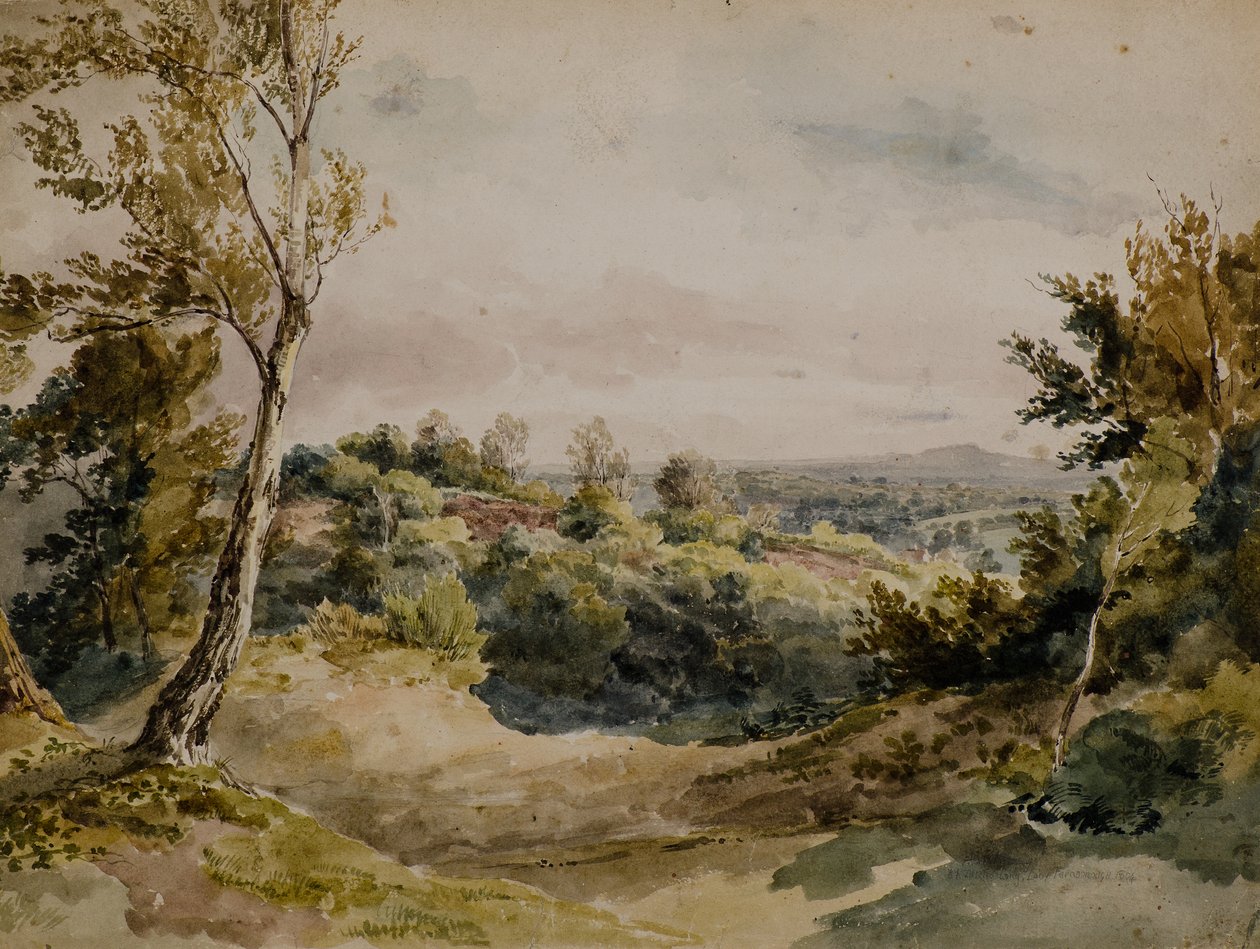 From Bromley by Amelia Long