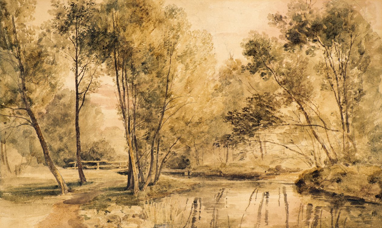 Study of Trees by Amelia Long