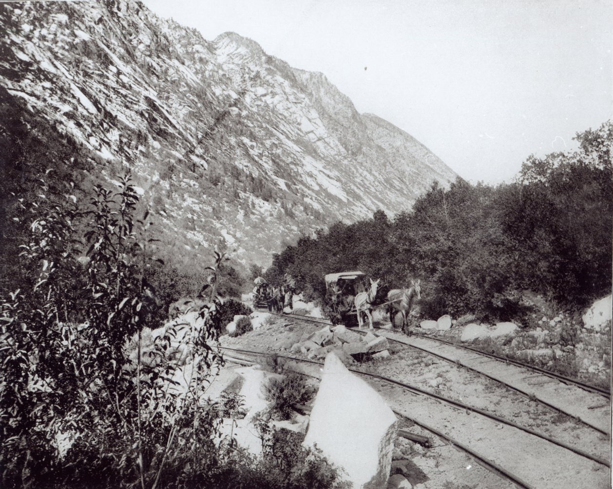 Mule railway in North America, late 19th century by American Photographer