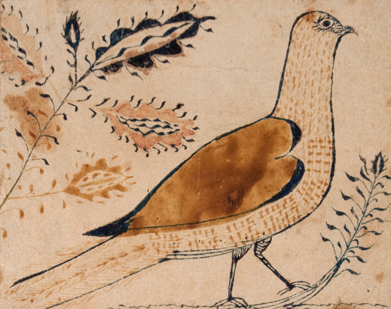 Bird by American School