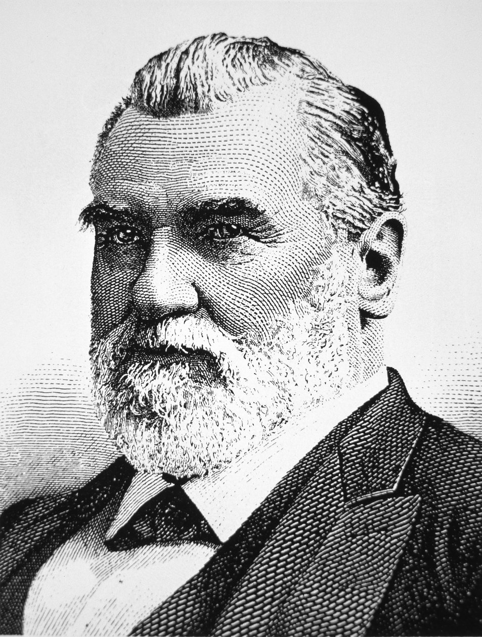 Leland Stanford by American School