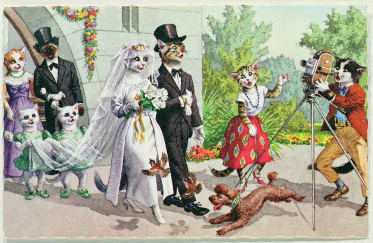 The Wedding by American School
