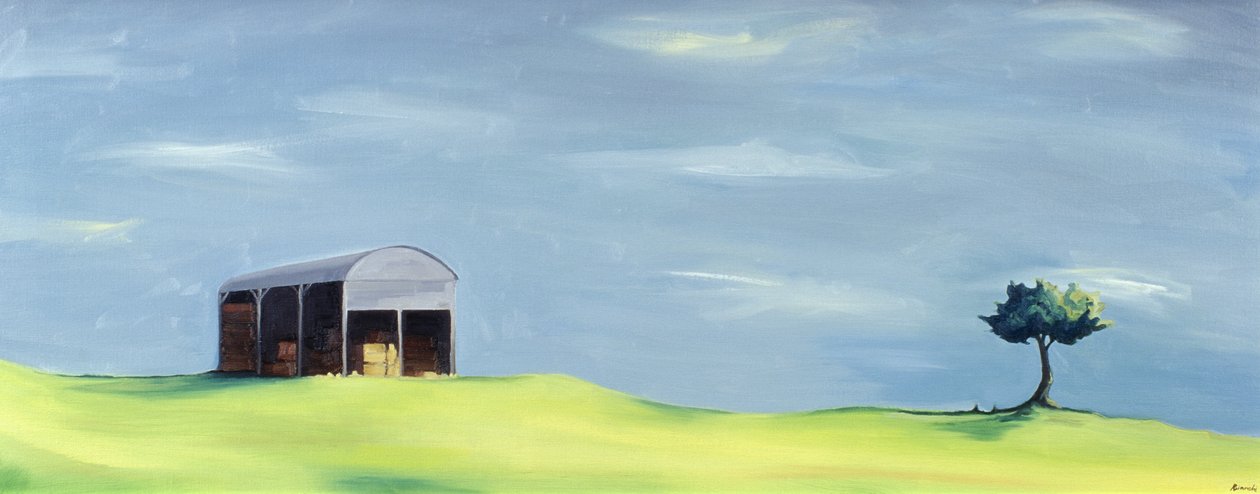 Poulton Fields by Ana Bianchi