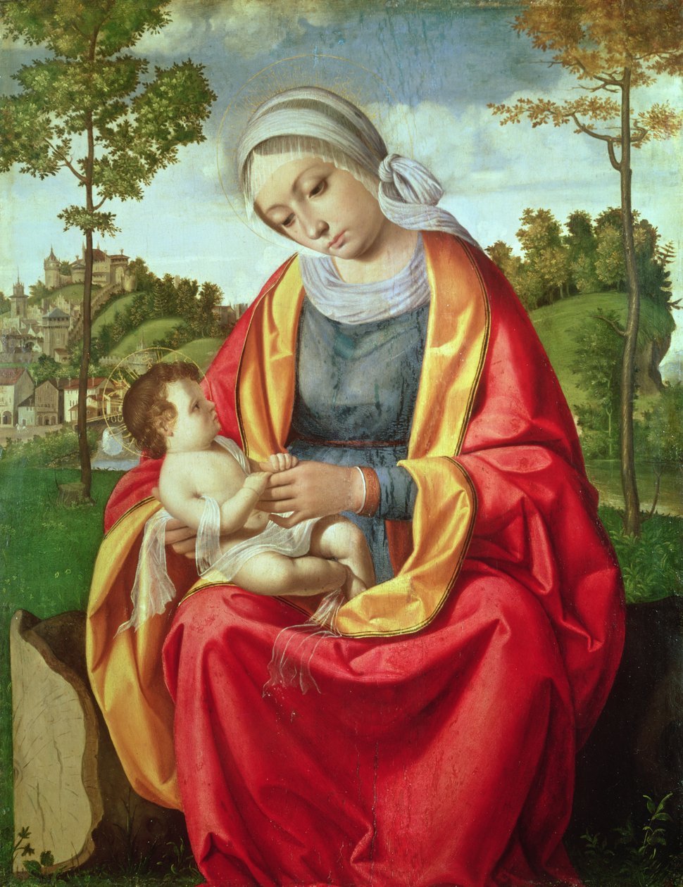 The Virgin and Child by Andrea Previtali