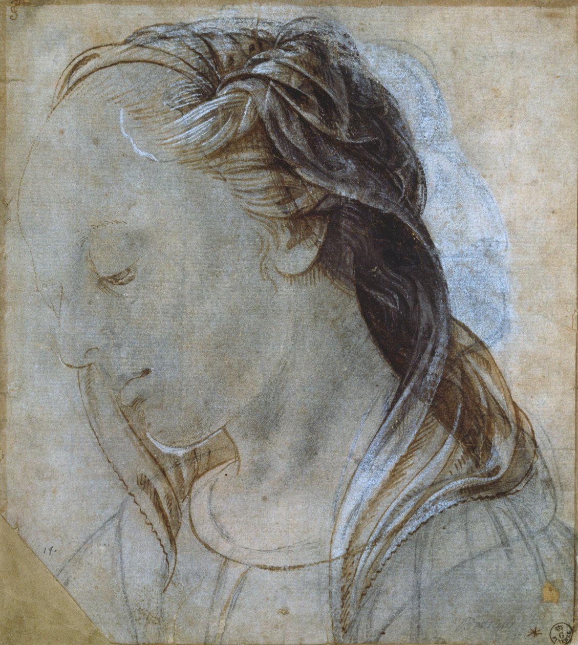 Female Head by Andrea Verrocchio
