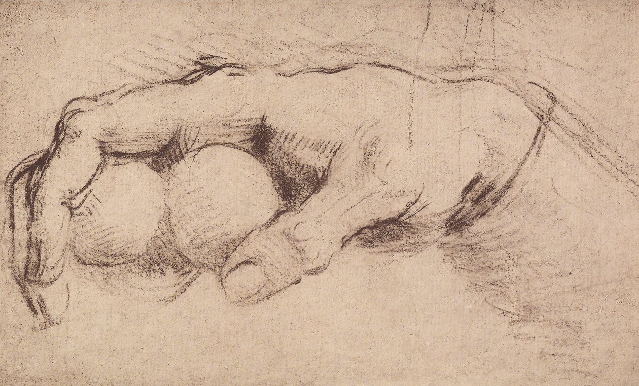 A hand by Andrea del Sarto