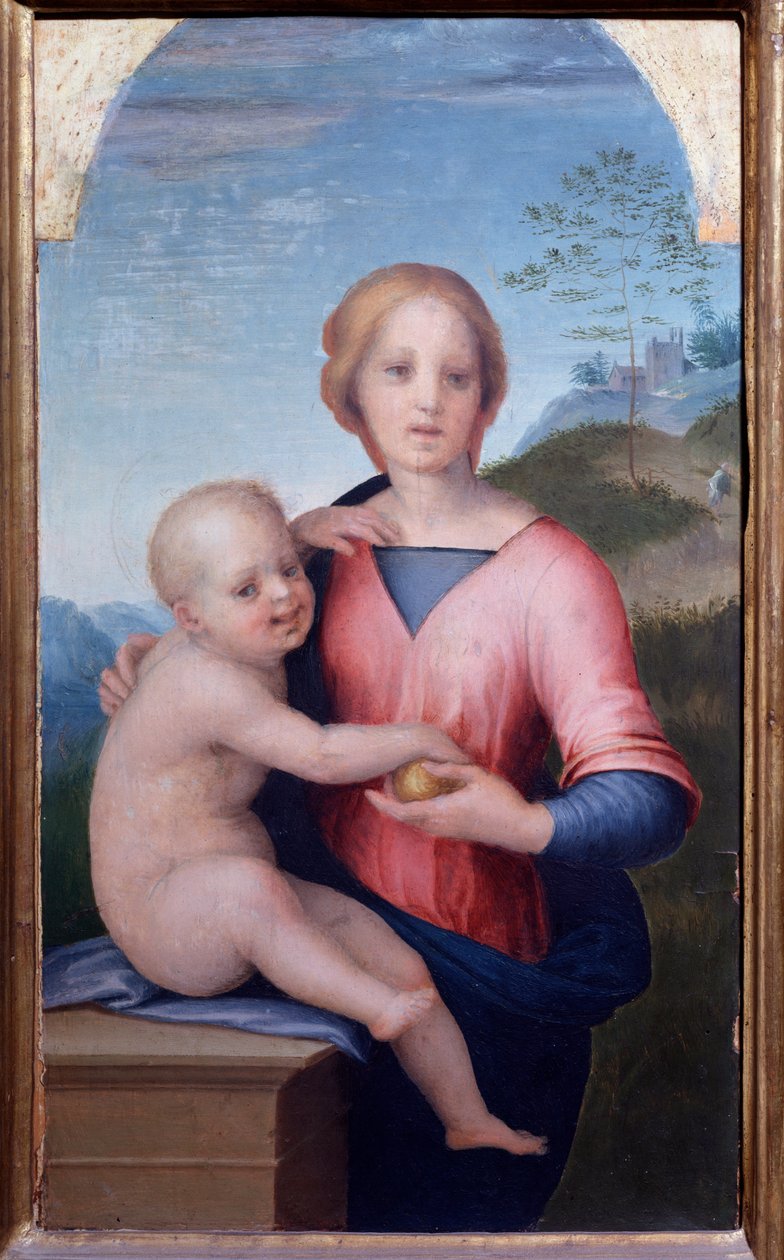 Virgin with Child by Andrea del Sarto