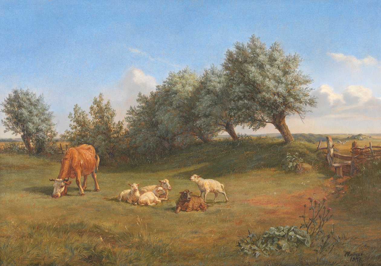 A Field by Andreas Peter Madsen