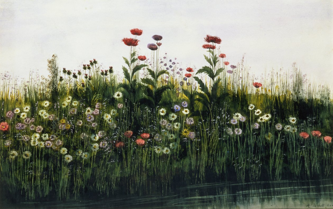 Poppies, Daisies and Thistles on a River Bank by Andrew Nicholl