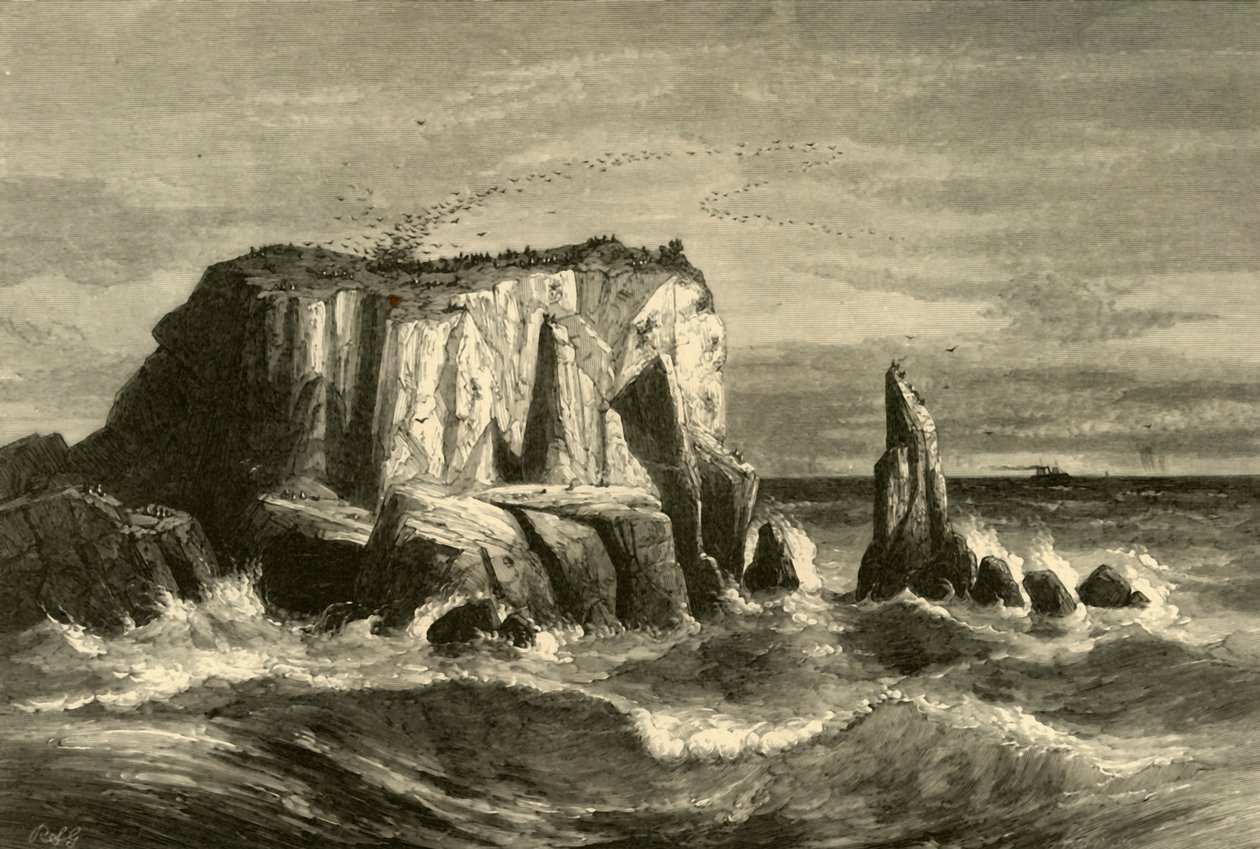 Coast Scene, Marin County, 1872 by Andrew Varick Stout Anthony