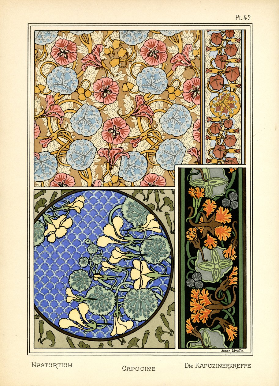 The Nasturtium by Anna Martin