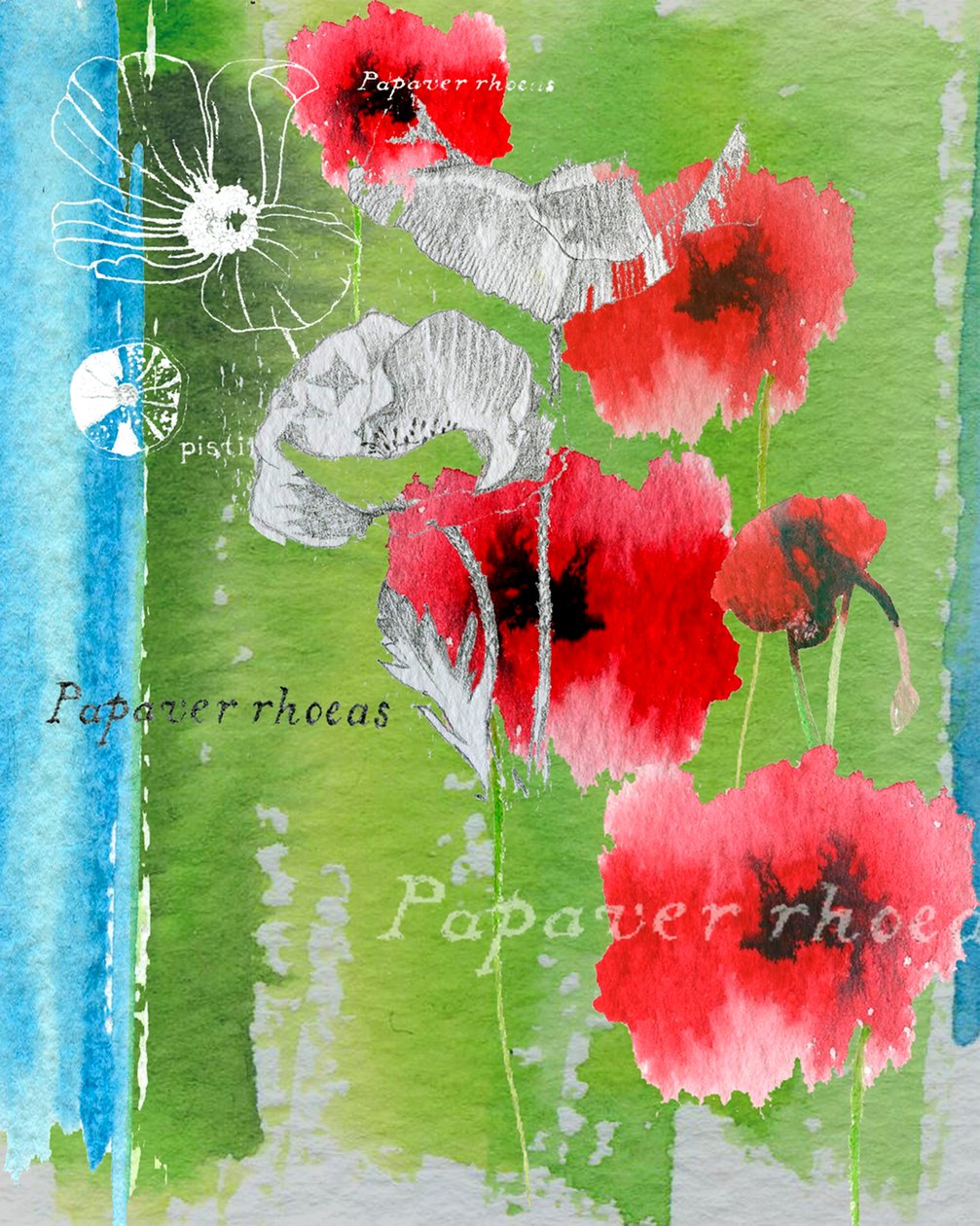 Poppy by Anna Platts