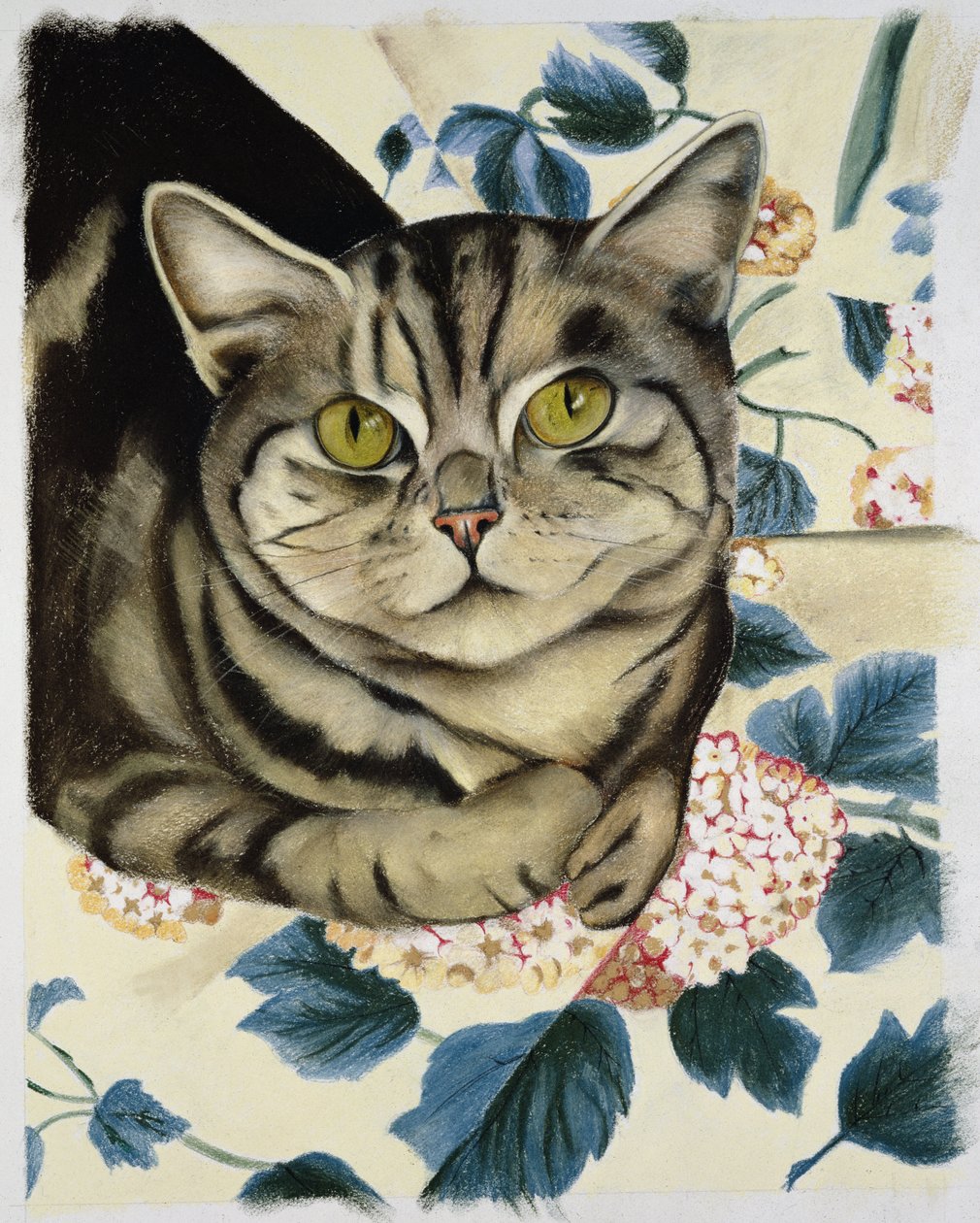 Tabby Cat by Anne Robinson