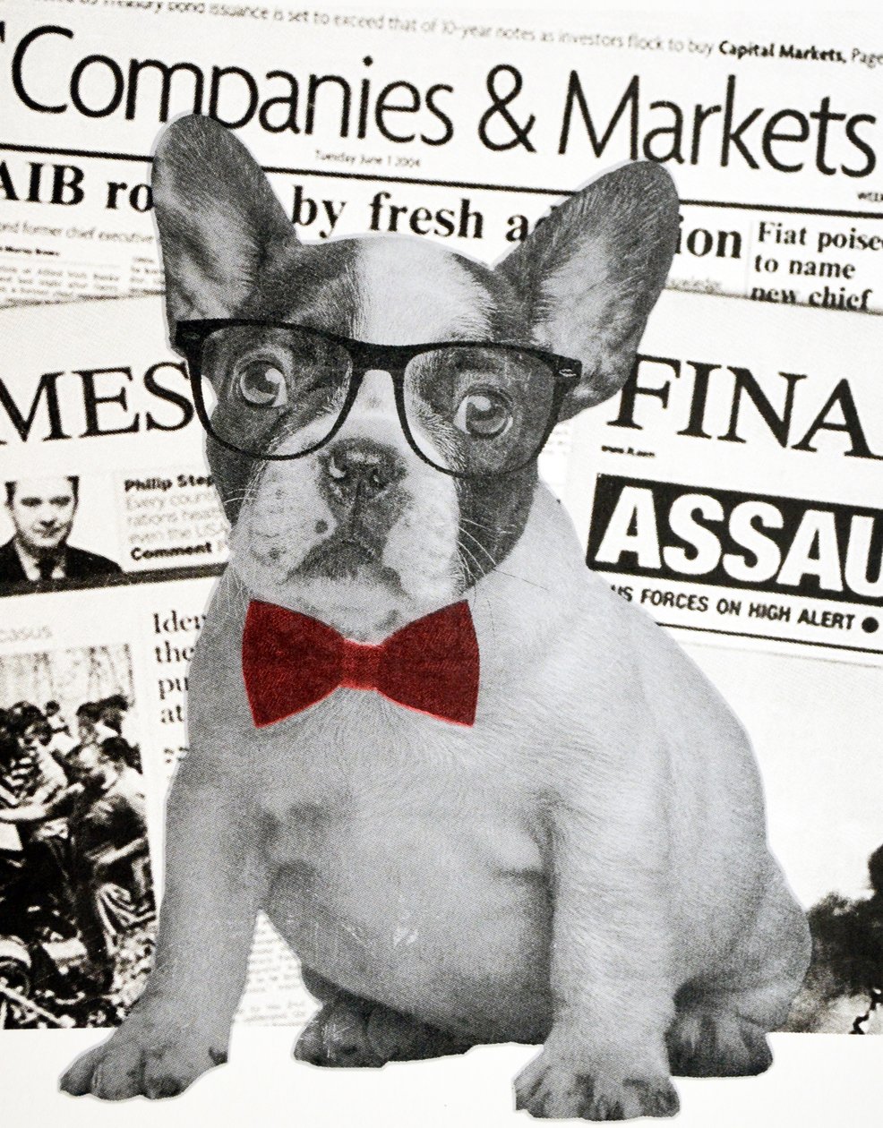 Wall Street Dog by Anne Storno