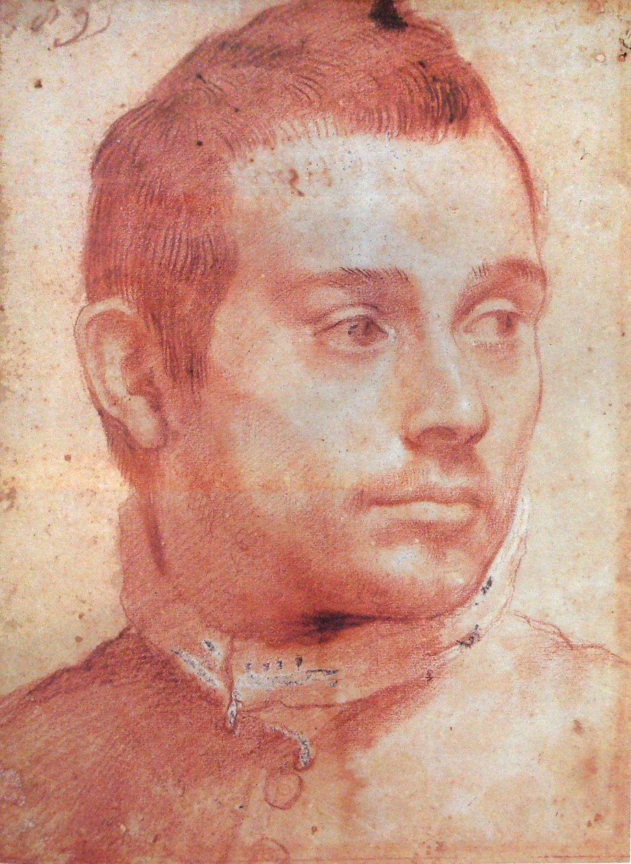 Portrait of a Man by Annibale Carracci