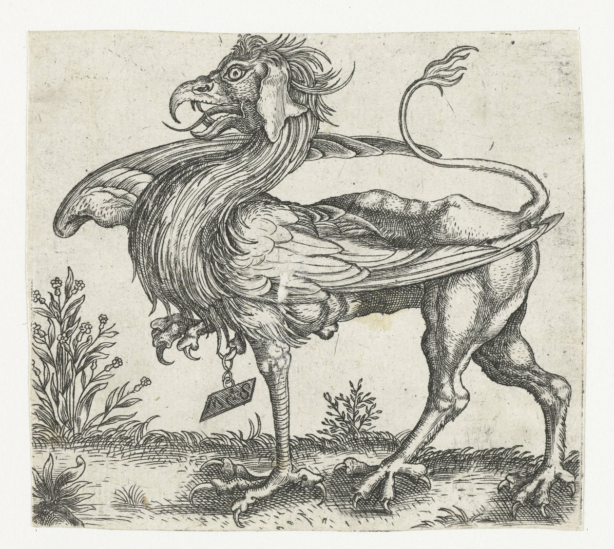 The Griffin by Anonymous