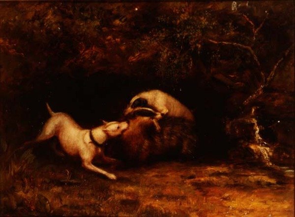 Dogs Baiting a Badger, c.1870 by Anonymous