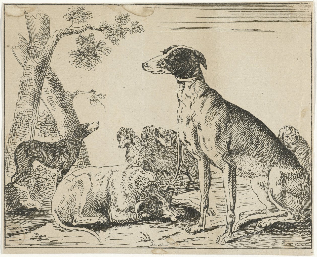 Dog Kennel by Anonymous