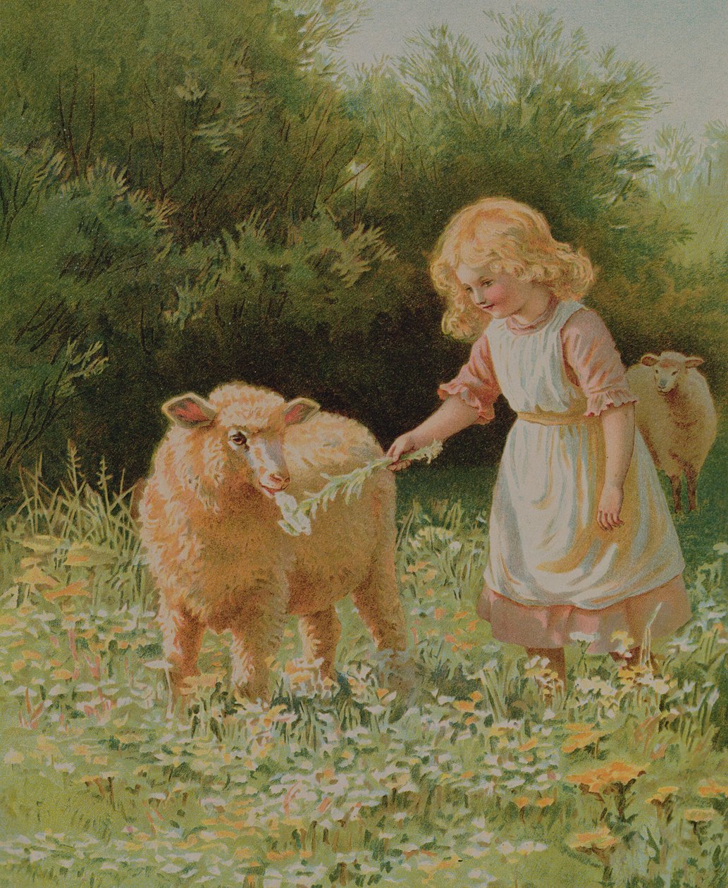 In The Meadow by Anonymous