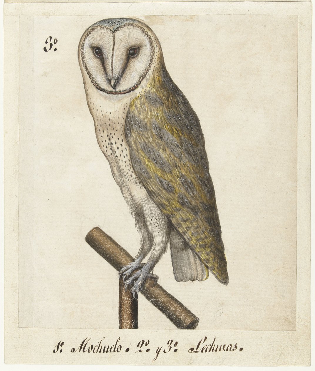 Barn Owl (Lombard album) by Anonymous