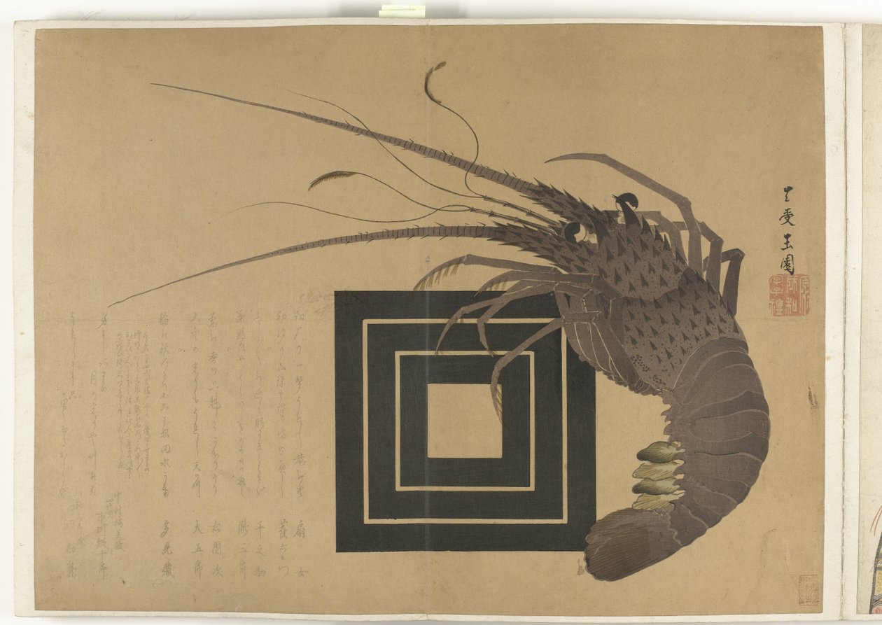 Lobster by Anonymous