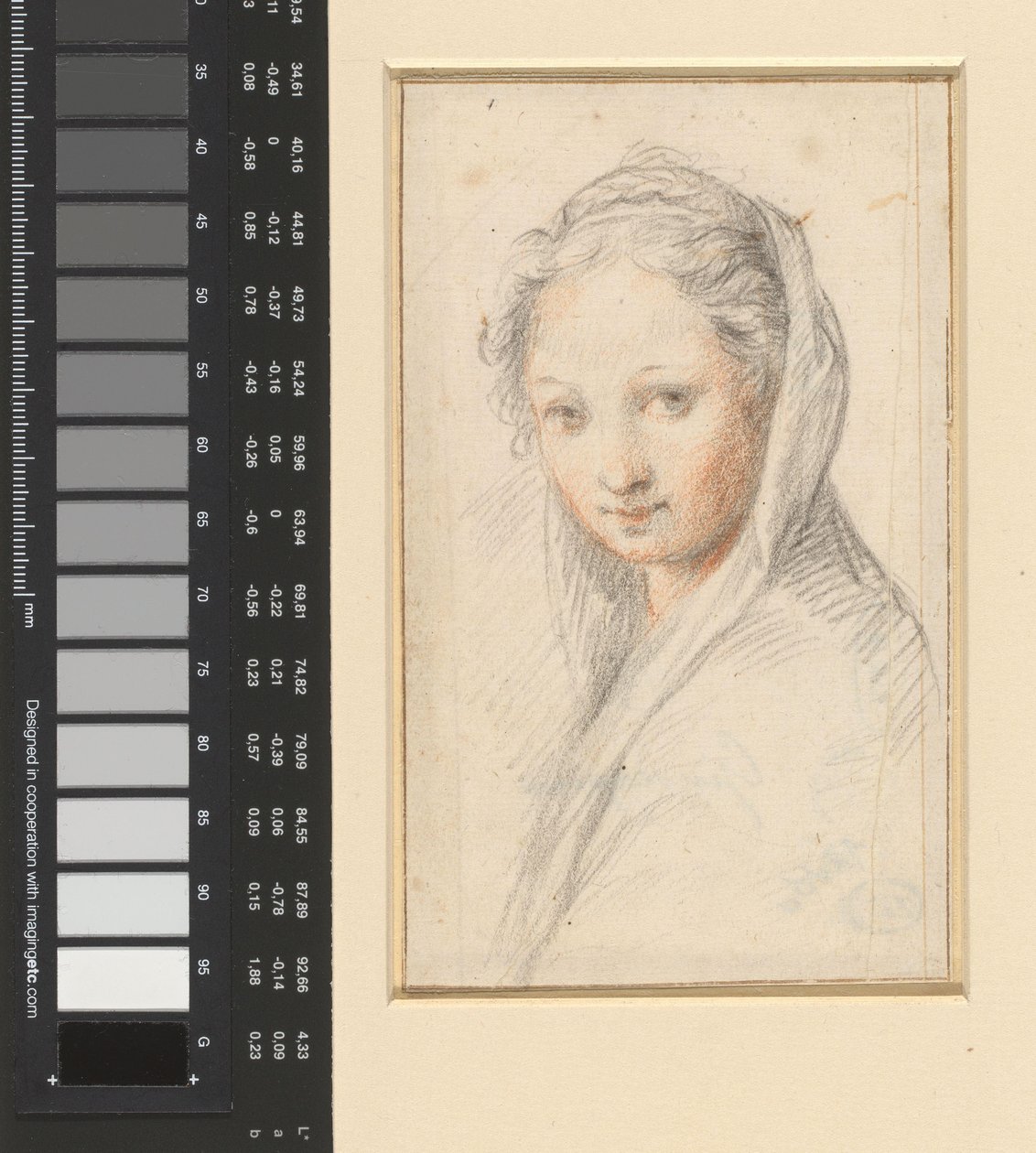 Portrait of a Woman by Anonymous