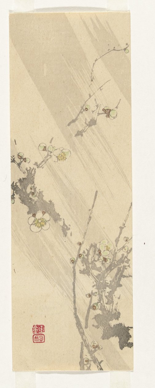 Plum Blossom by Anonymous