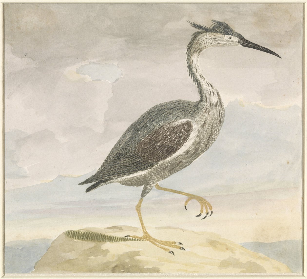 Heron by Anonymous