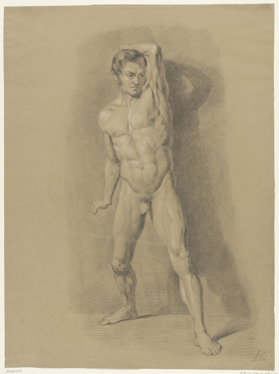 Standing Male Nude, Front View by Anonymous