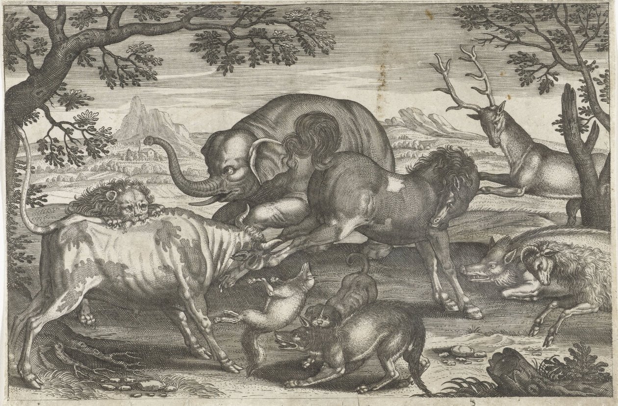 Fighting Animals by Anonymous