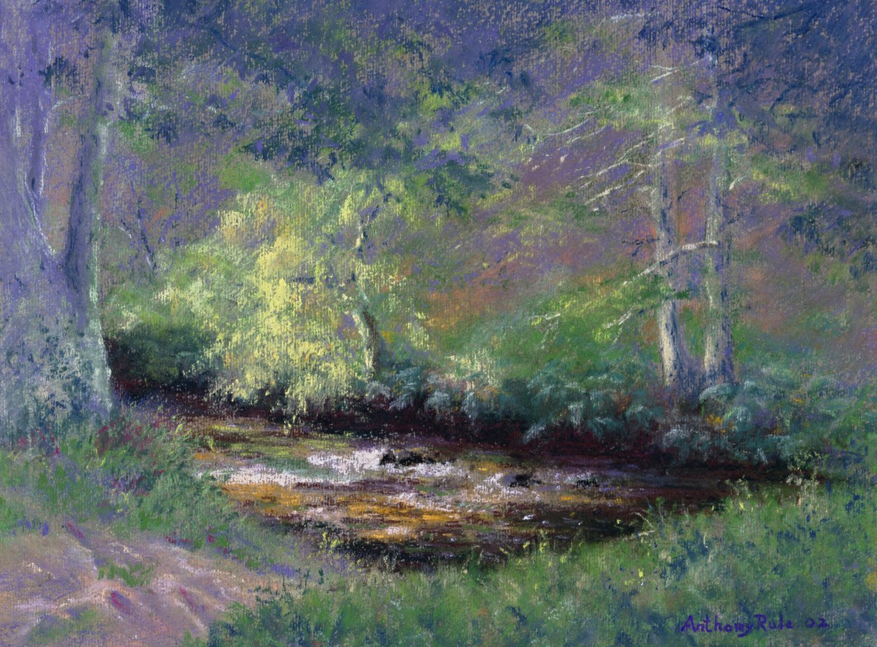 Forest Stream by Anthony Rule