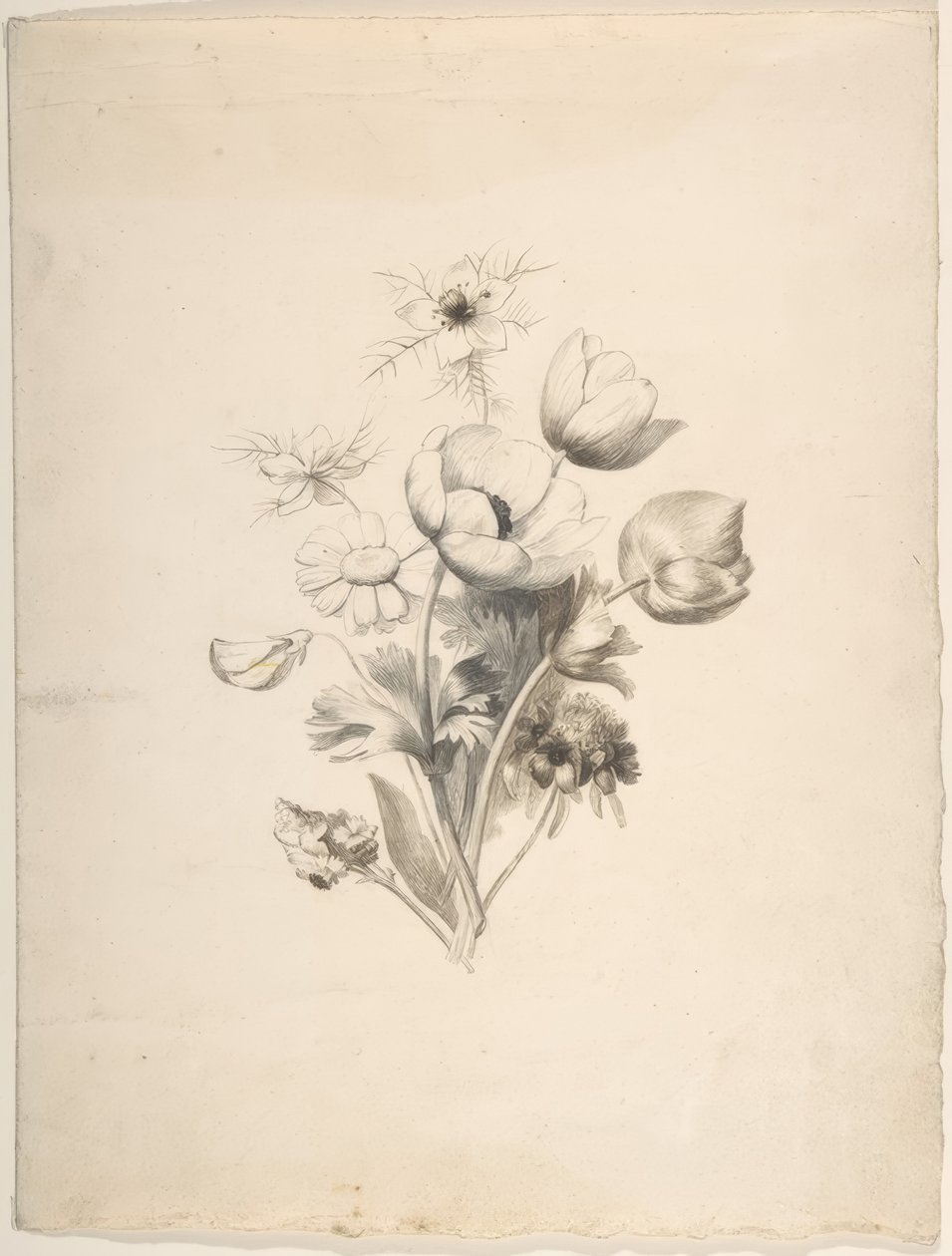 Floral Design by Antoine Berjon