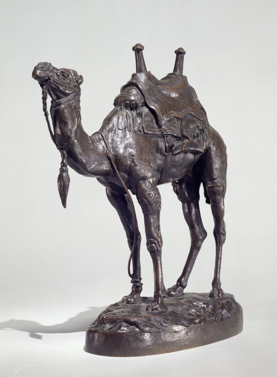 Egyptian Dromedary with Harness by Antoine Louis Barye