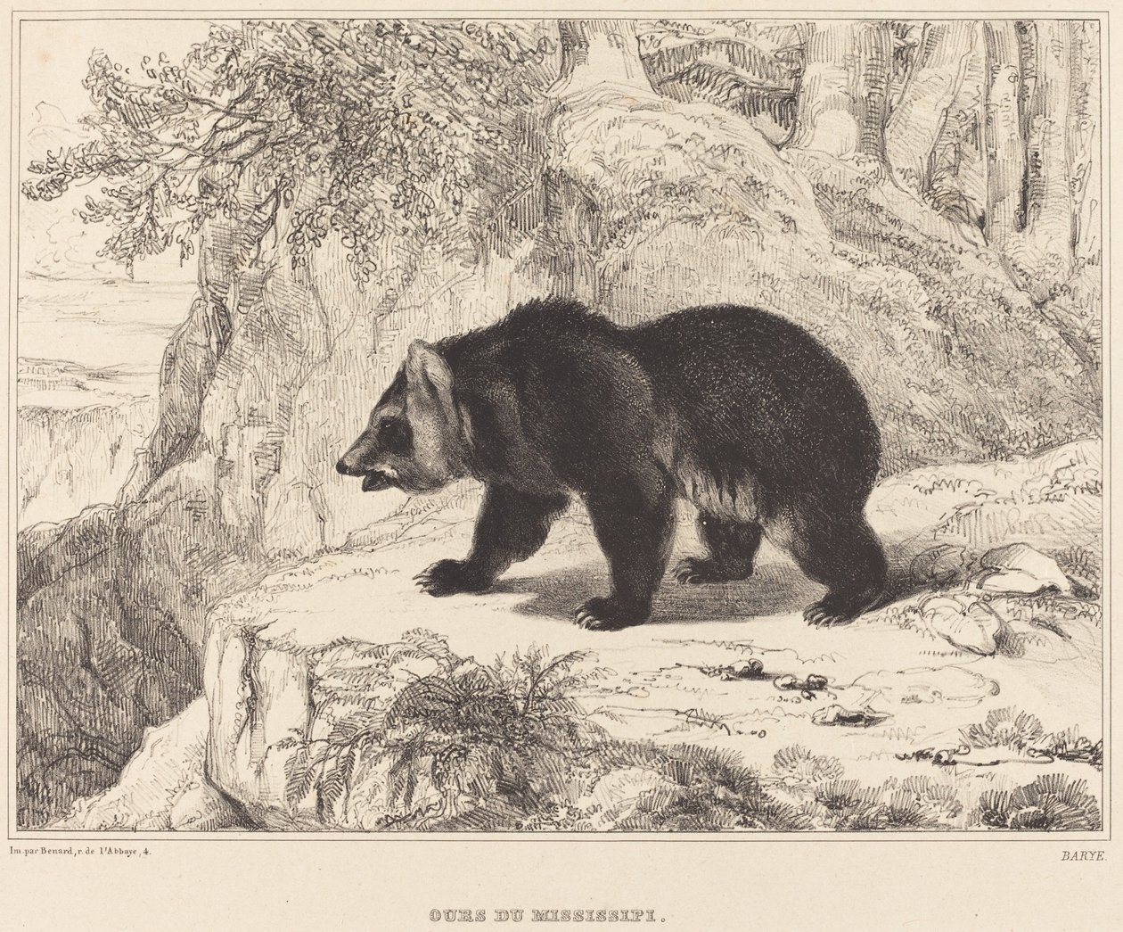 Mississippi Bear by Antoine Louis Barye