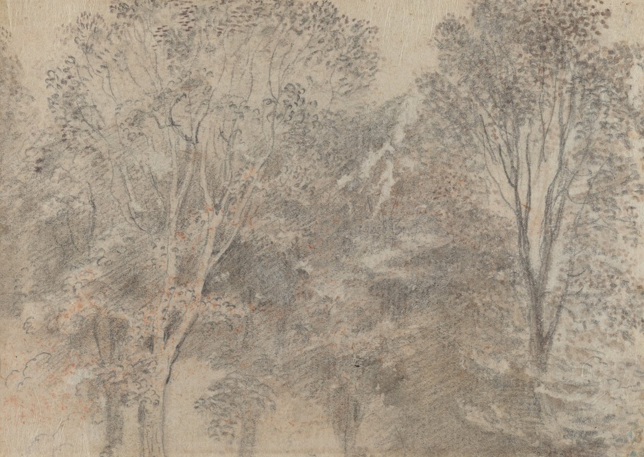 Treetops by Antoine Watteau