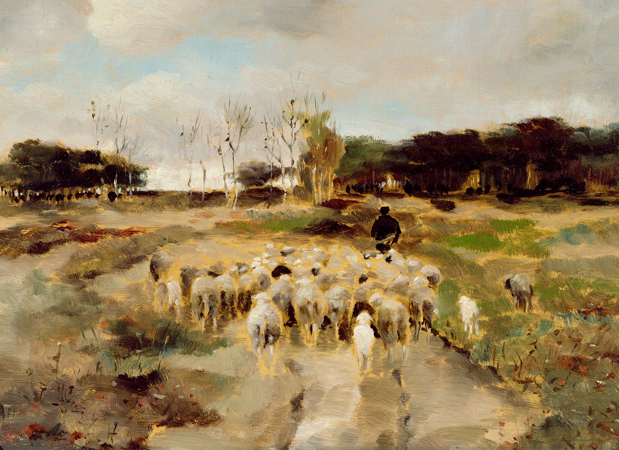 Sheep Flock by Anton Mauve