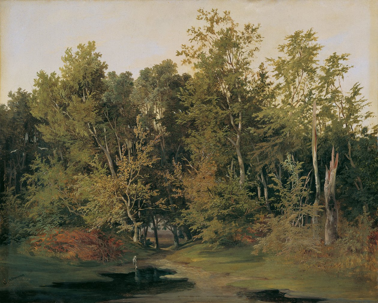 Forest Landscape in Lower Austria by Anton Altmann d. J.