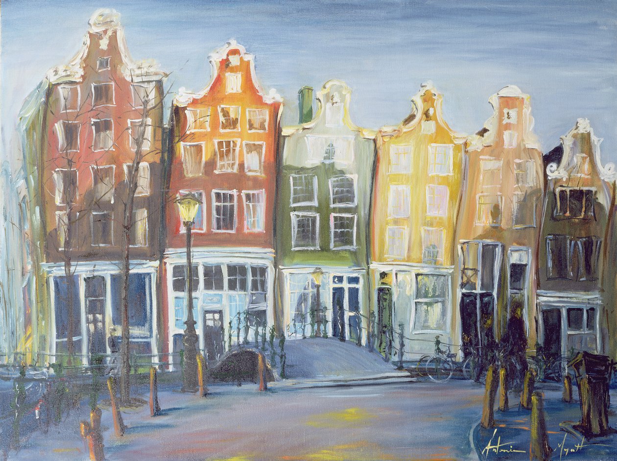 Houses of Amsterdam by Antonia Myatt