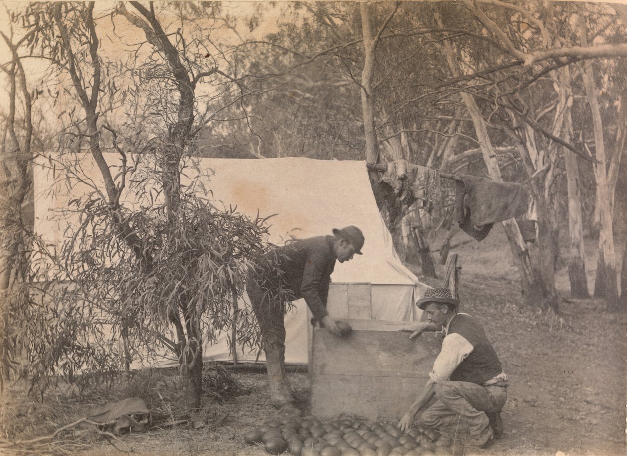 An Emu Eggers Camp by Archibald James Campbell