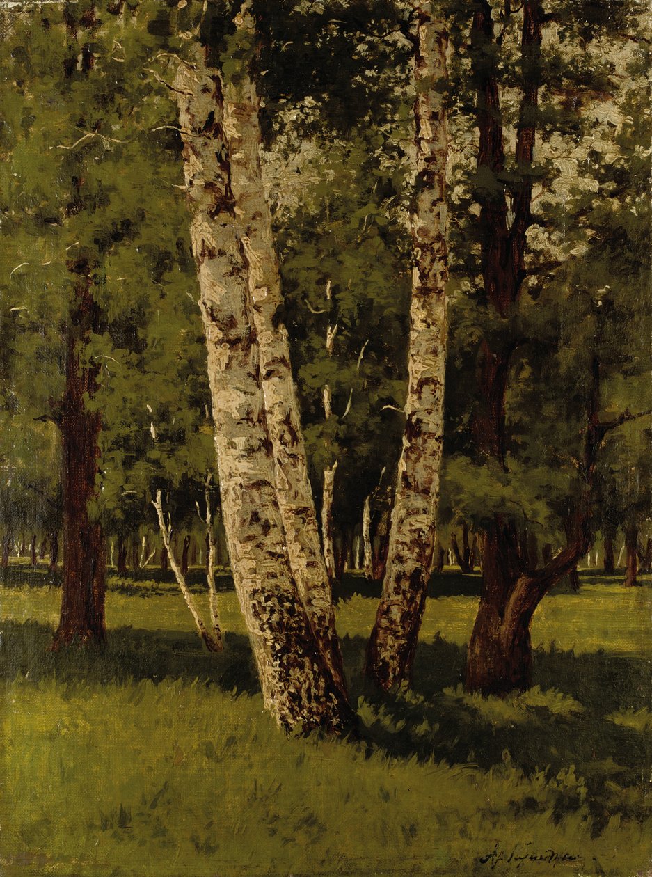 Birch Trees by Arkip Ivanovic Kuindzi