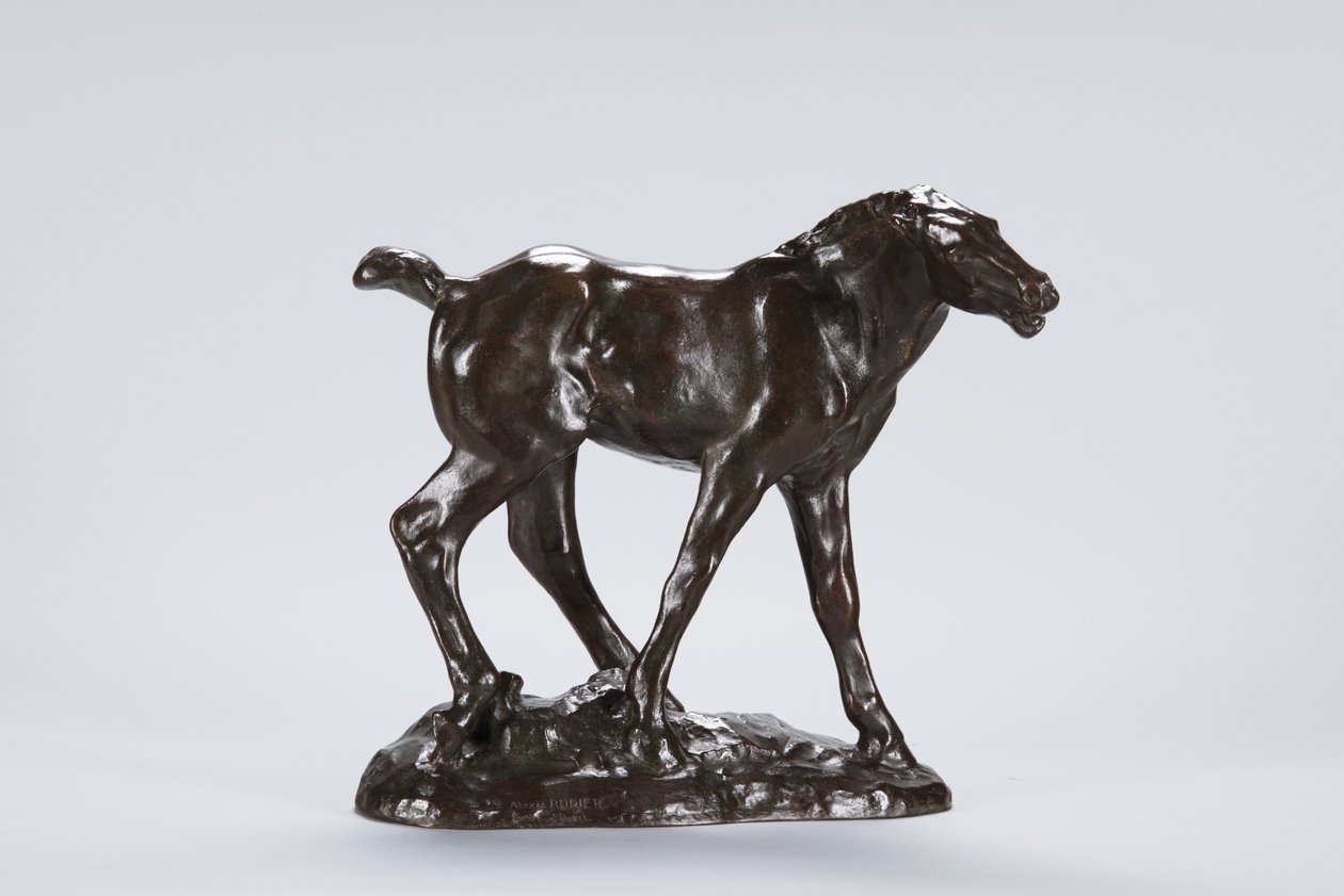 Colt by Arthur Putnam