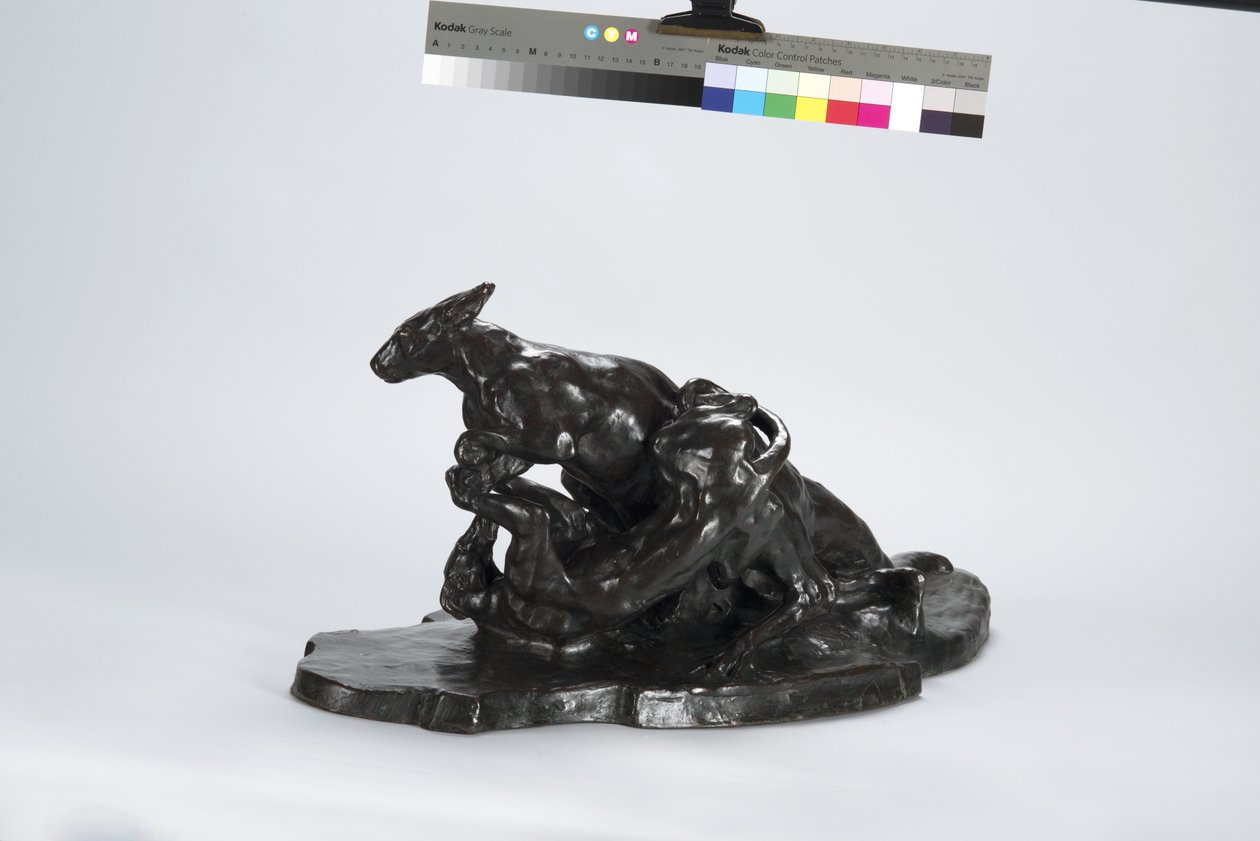 Kangaroo and Dog by Arthur Putnam