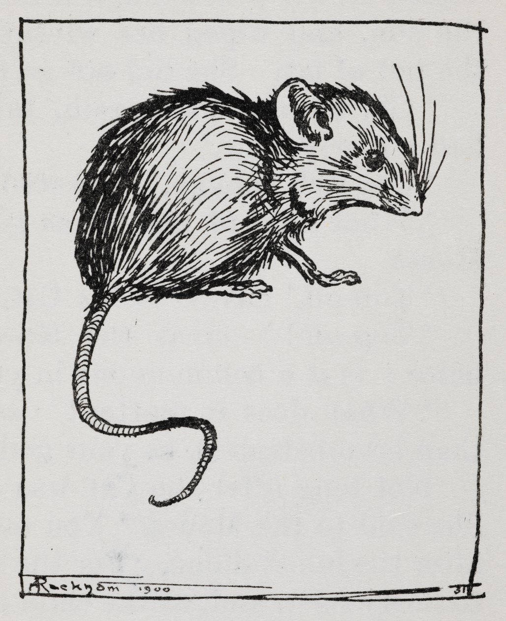 A mouse by Arthur Rackham