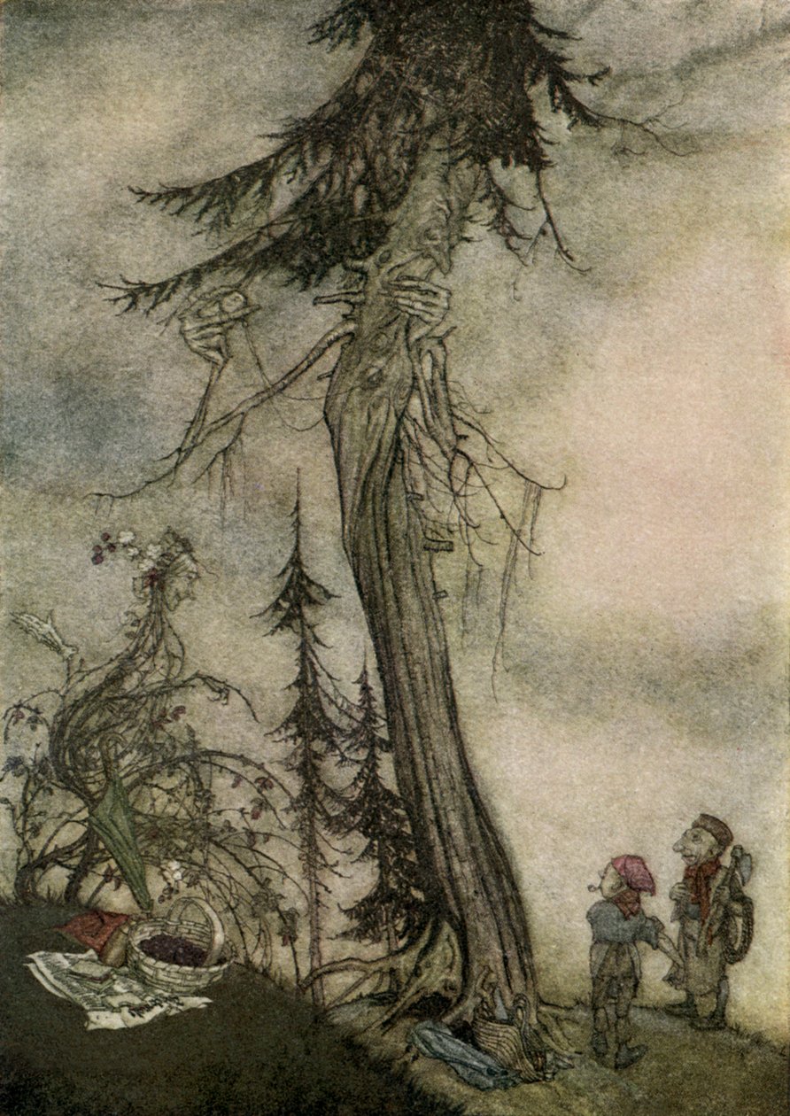 Aesop
