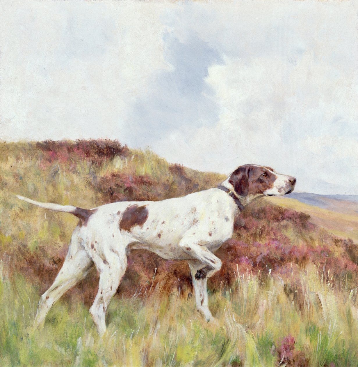 A Pointer by Arthur Wardle