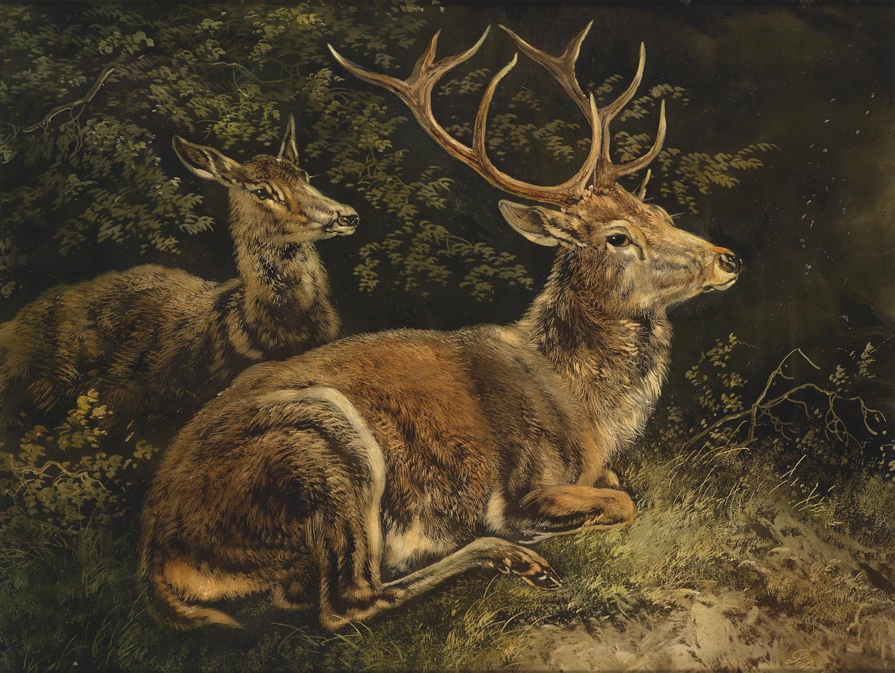 Red Deer by August Schleich