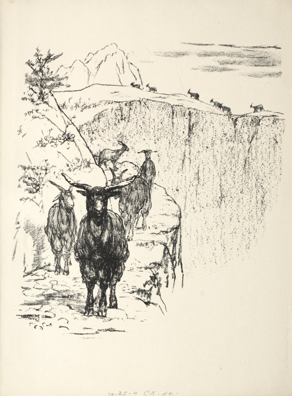 Goats by August Gaul
