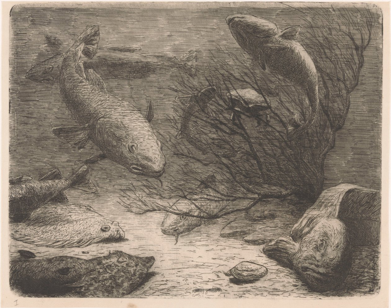Aquarium by August Le Gras