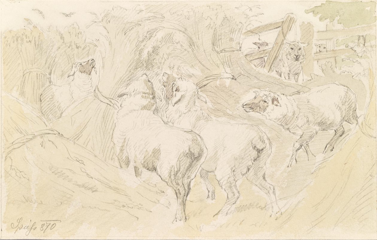 Sheep in the Grain by August Spiess