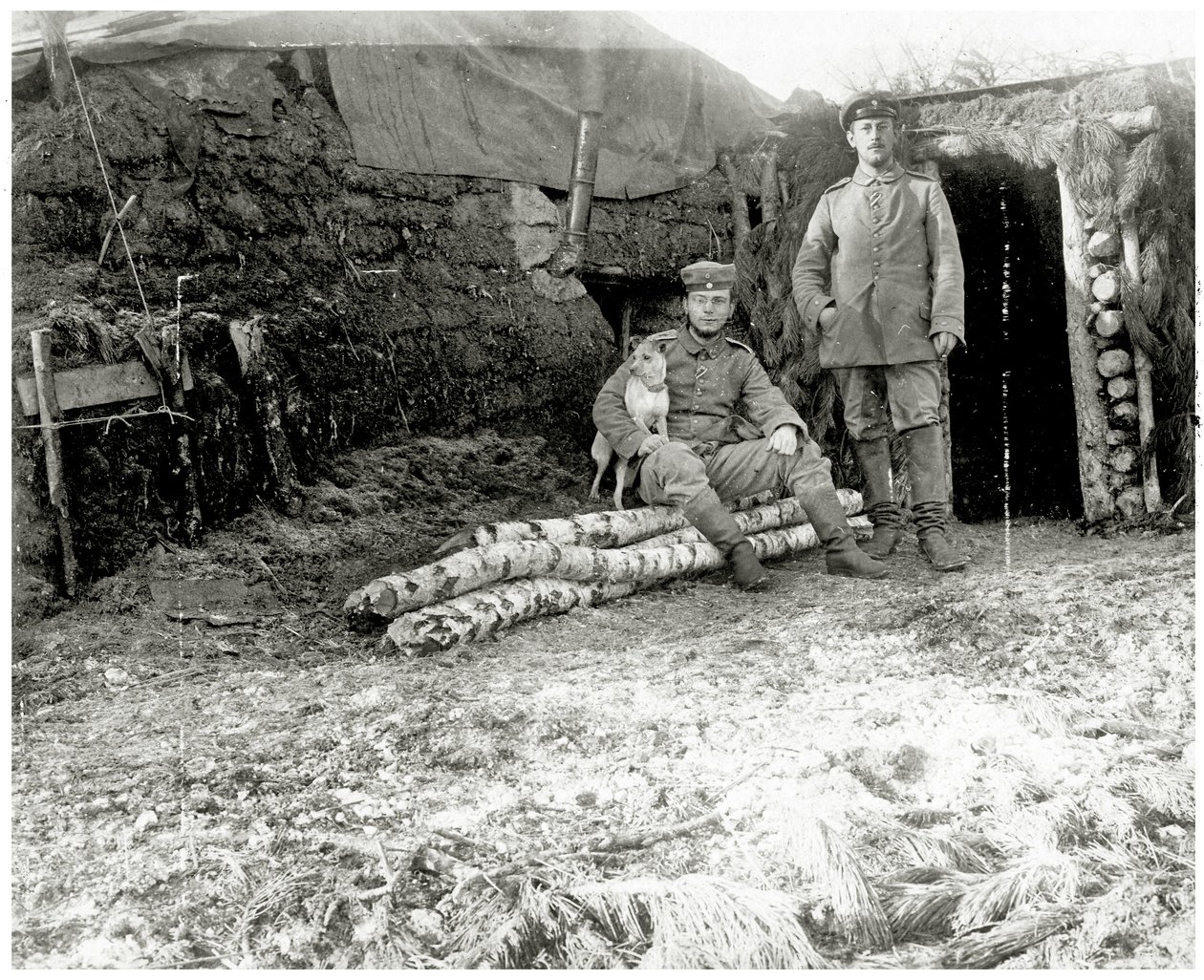 Austrian Soldiers with a Dog, 1914-18 by Austrian Photographer